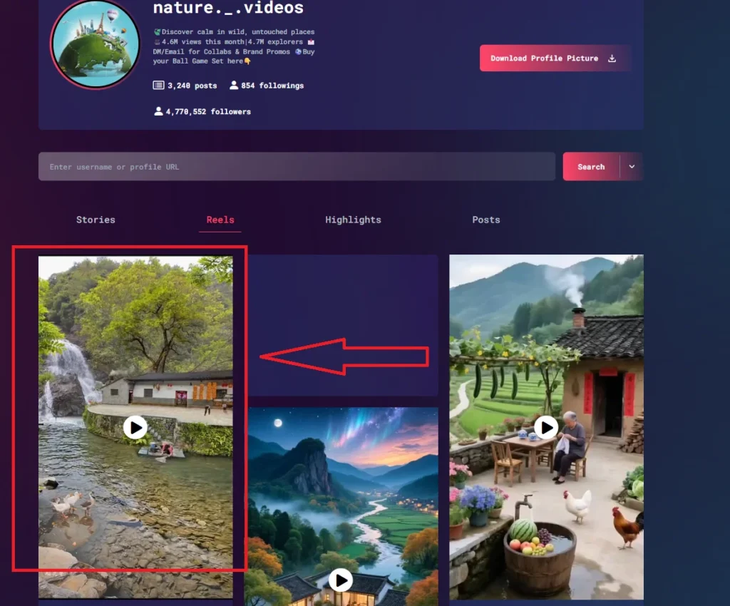 Click the reel you want to see in Instagram viewer
