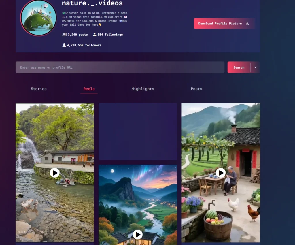 Click the Reels tab in instagram downloader