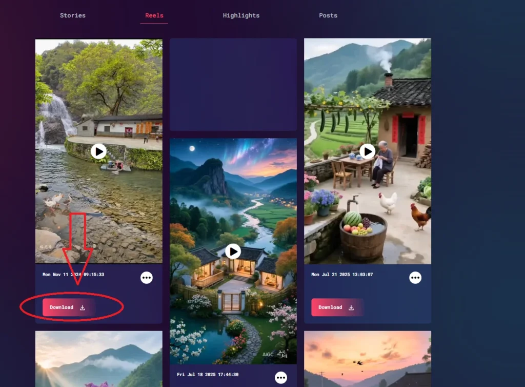 Download the reel in Instagram reel downloader