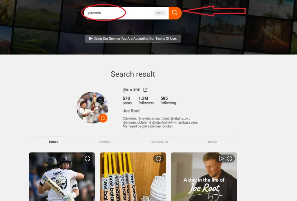 Search the profile name in instagram story viewer