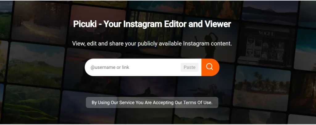 visit Picuki Instagram Viewer